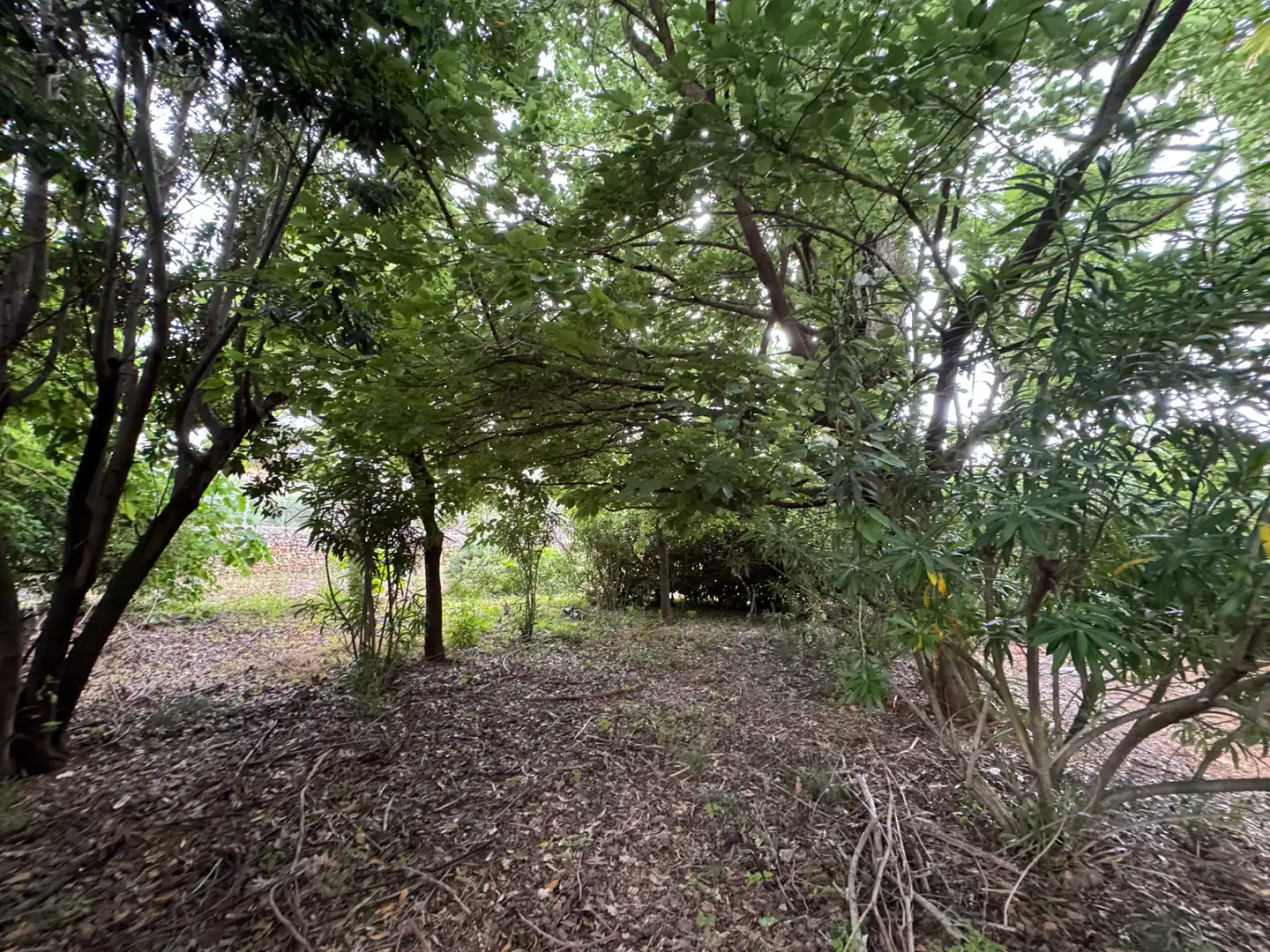 Casa o chalet en venta en Carretera Pedreguer-Benidoleig, Pedreguer