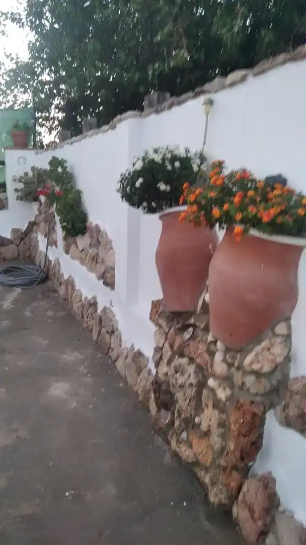Vista exterior de Casa o xalet en venda en El Coronil, Sevilla