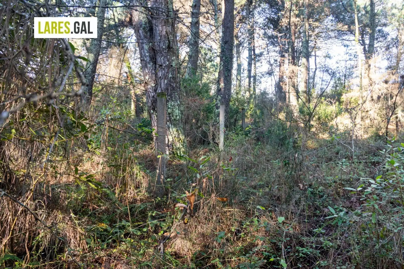 Rustikales Grundstück zum Verkauf in Lugar de Fenteiras, imagen 8