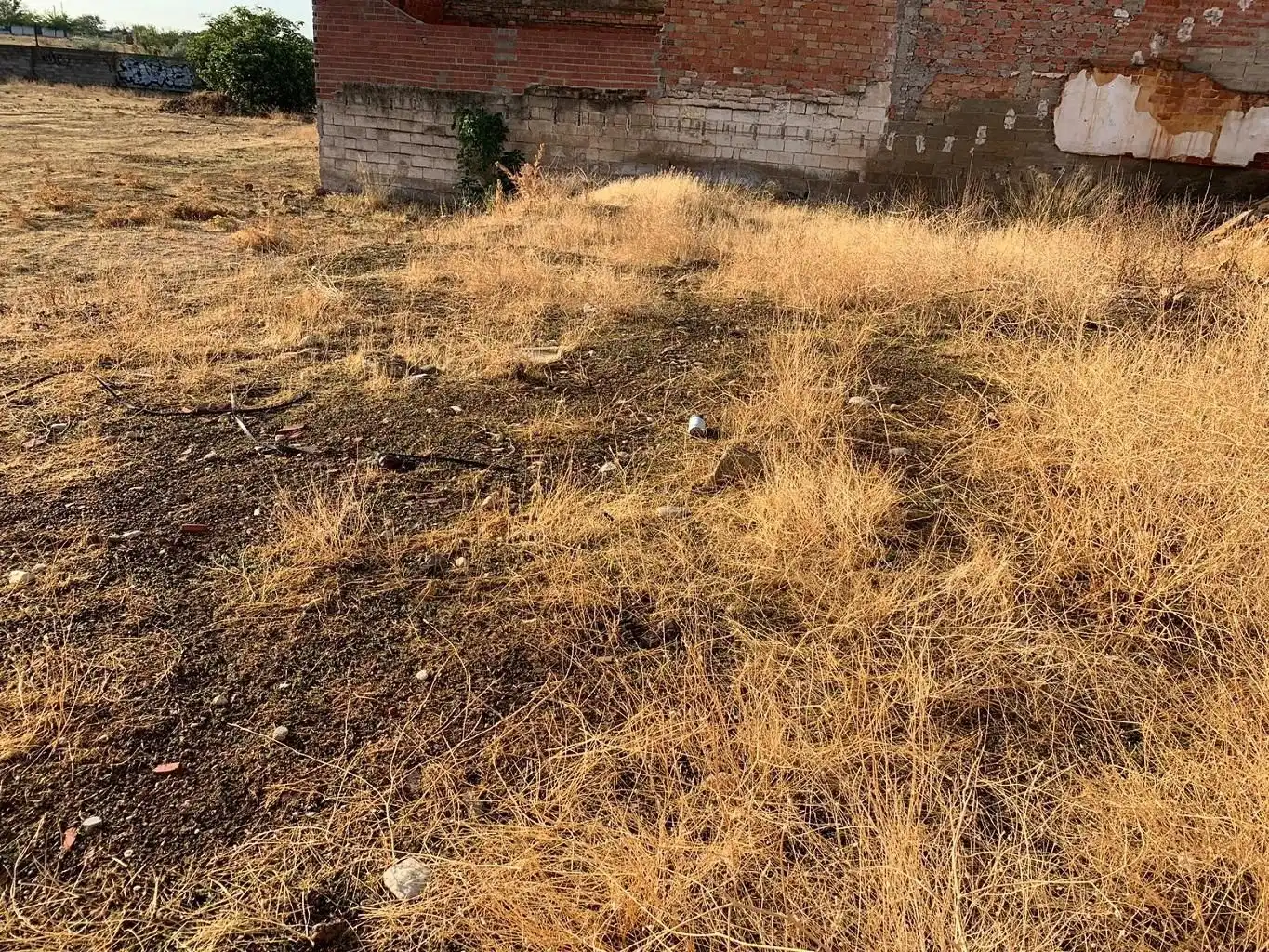 Terreny residencial en venda a Calle Pachecas, imagen 10