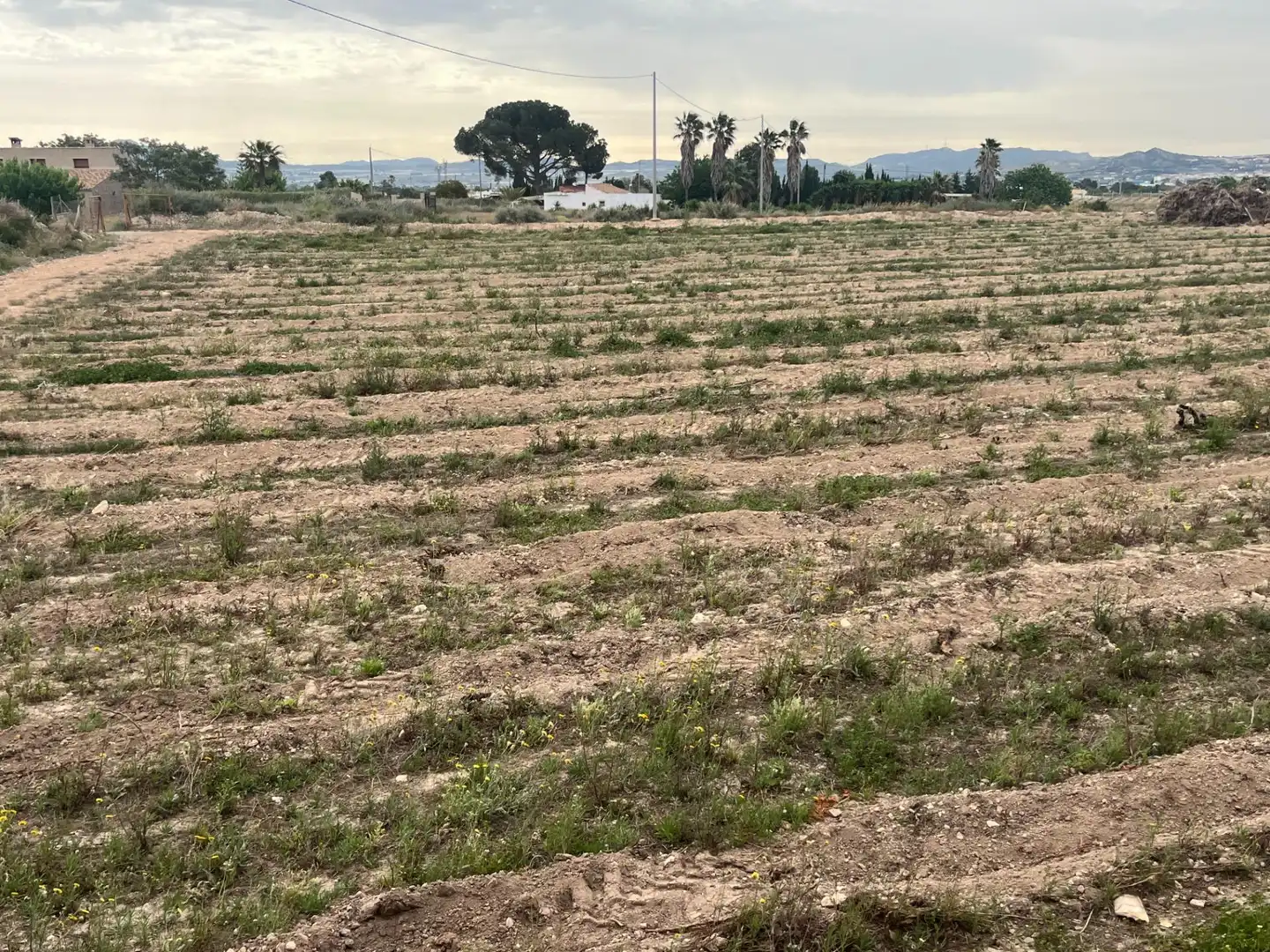 Maison rustique à vendre à Partida CURA GONZALEZ, imagen 35