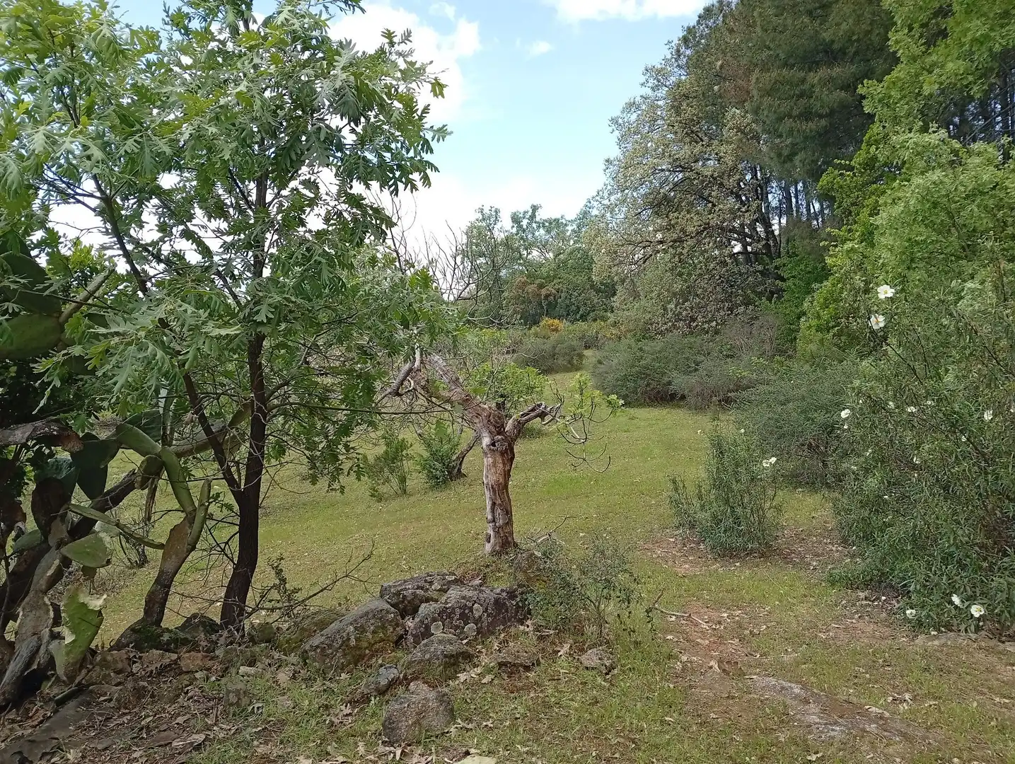 Terreni e lotti in vendita a Villanueva de la Vera, imagen 26