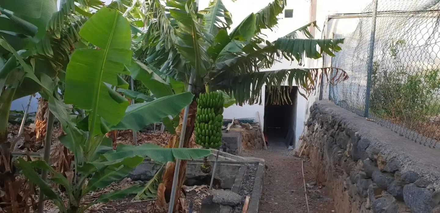 Exterior view of Residential for sale in Santa Cruz de la Palma