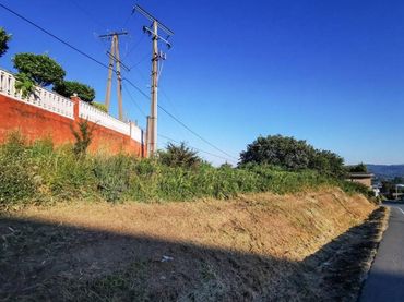 Terreni e lotti in vendita a Alvedro
