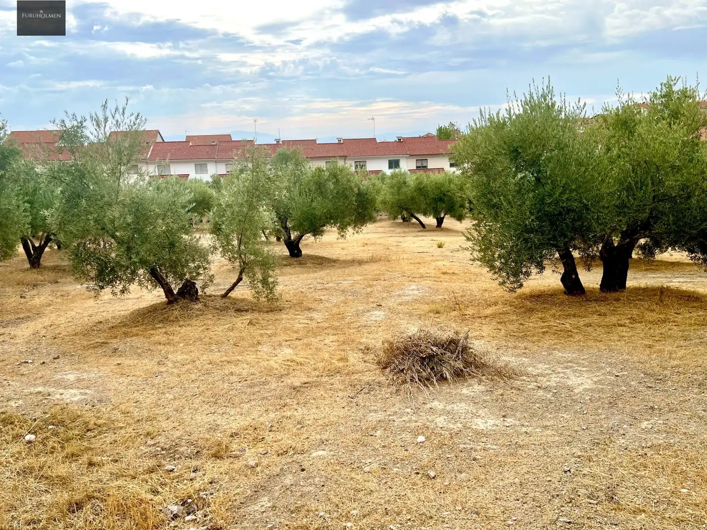 Rustikales Grundstück zum Verkauf in Nívar, imagen 11