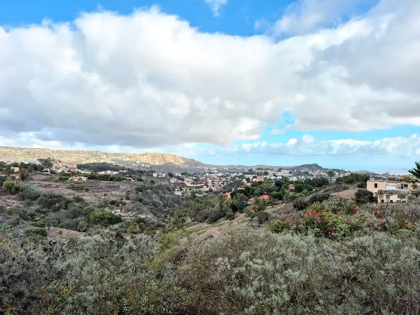 Vista exterior de Casa o chalet en venta en Santa Brígida con Jardín privado, Terraza y Trastero