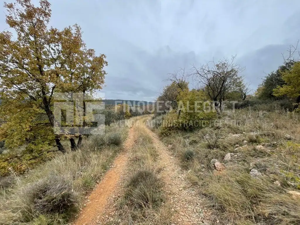Casa en venta en POLIGONO 2 PARCELA 97, imagen 7