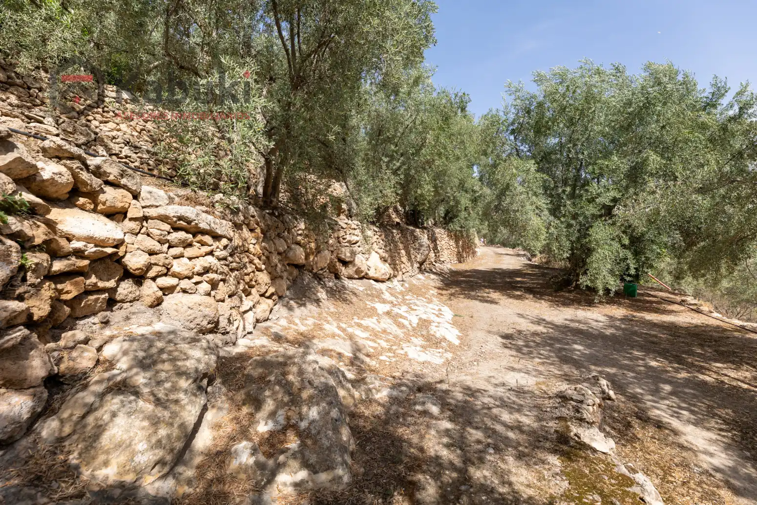 Terreno rustico in vendita a Pinar El - Pantano de Beznar, imagen 8