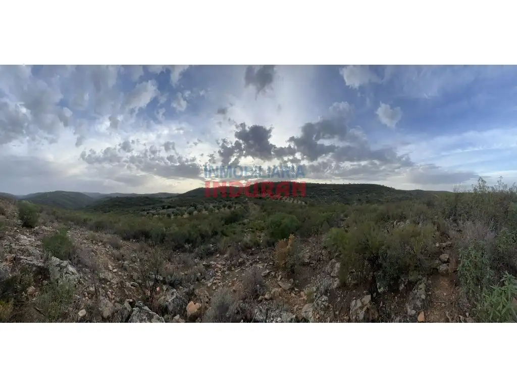Country house for sale in Castañar de Ibor, imagen 8