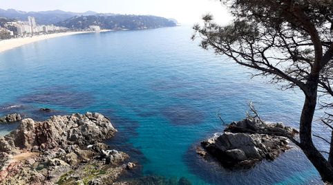 Foto 4 de Residencial en venta en Carrer Amposta, Lloret Verd - Els Pinars, Lloret de Mar