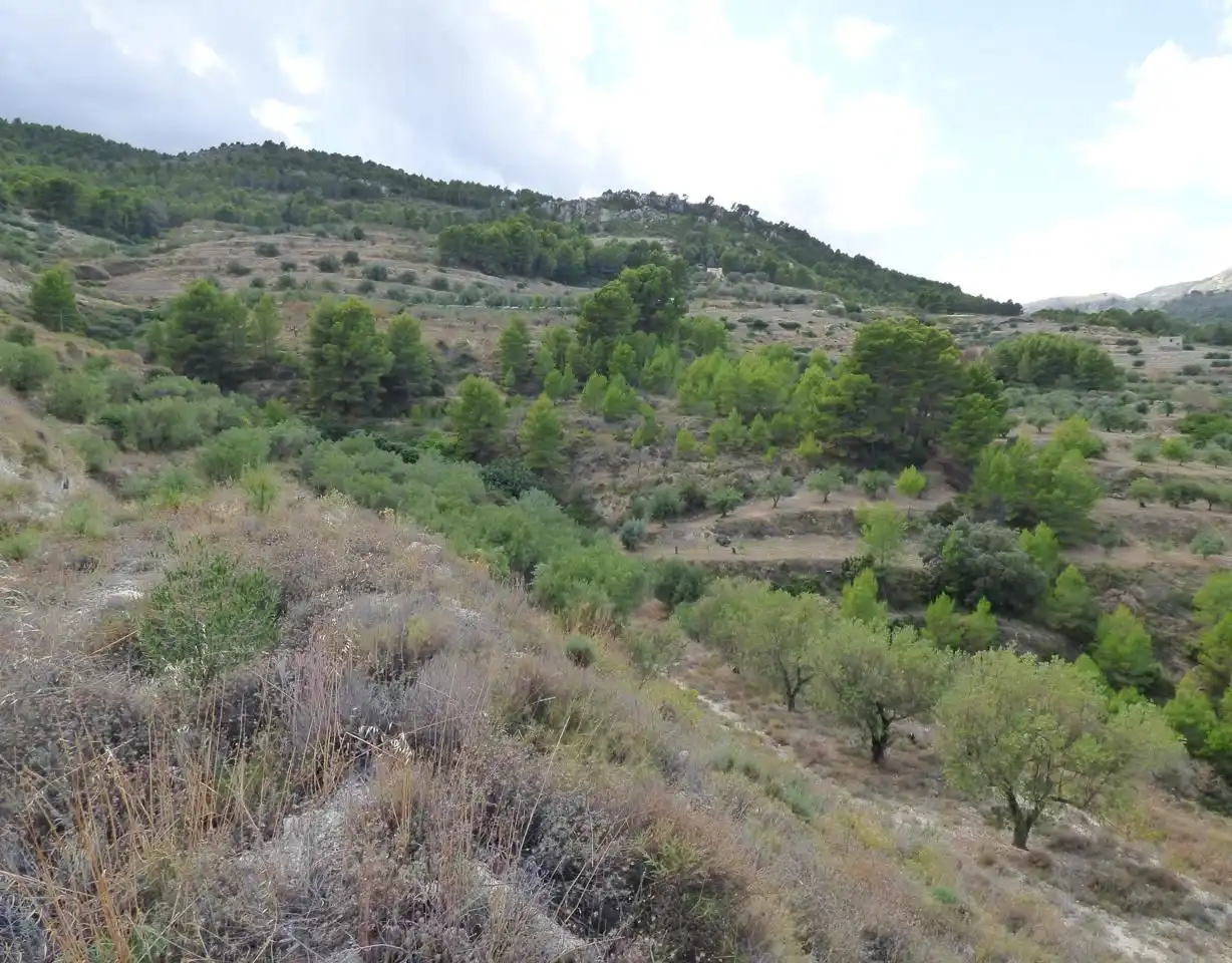 Residential for sale in Beniardà