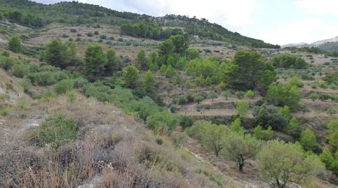 Se vende terreno rústico de 11.291 m2 de superficie, en el polígono de Umbríes, en Beniardá.
Es una explotación agraria en régime, imatge 5