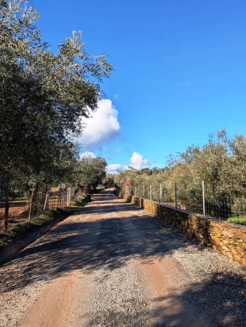 Vista exterior de Casa o chalet en venta en Puerto Moral con Jardín privado, Terraza y Trastero