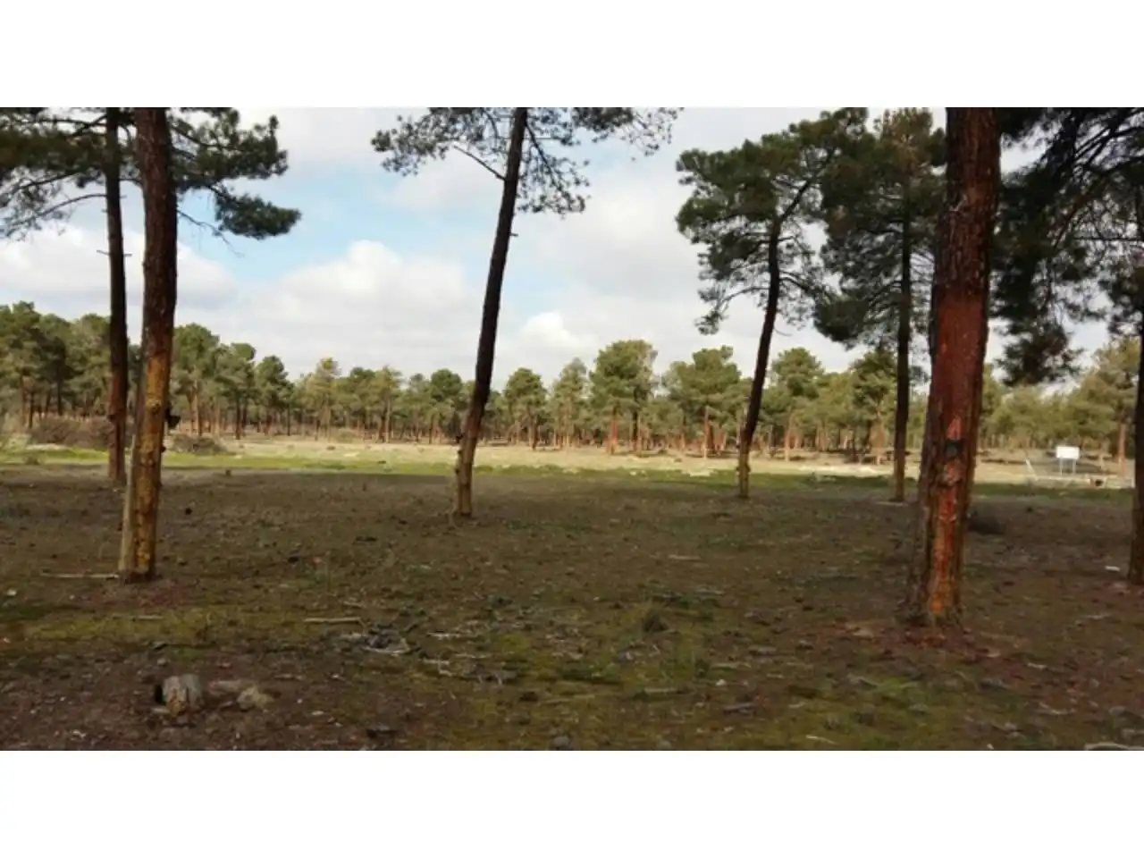 Terreni e lotti in vendita a Tiñosillos, imagen 2