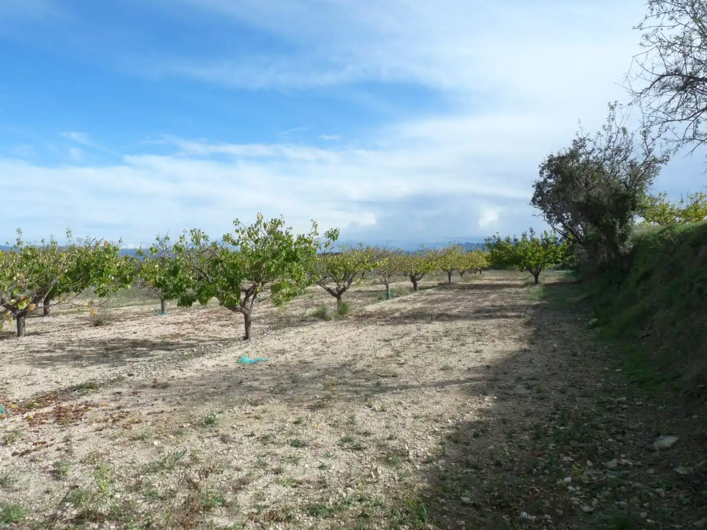 Country house zum Verkauf in Albaida mit Privatgarten und Abstellraum