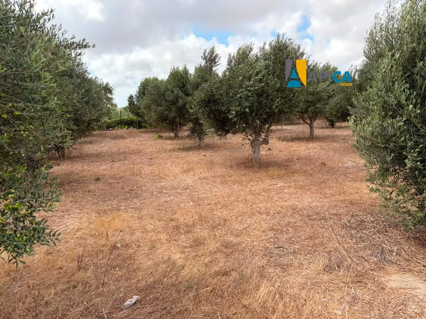Rural land for sale in Los Franceses – La Vega, imagen 2