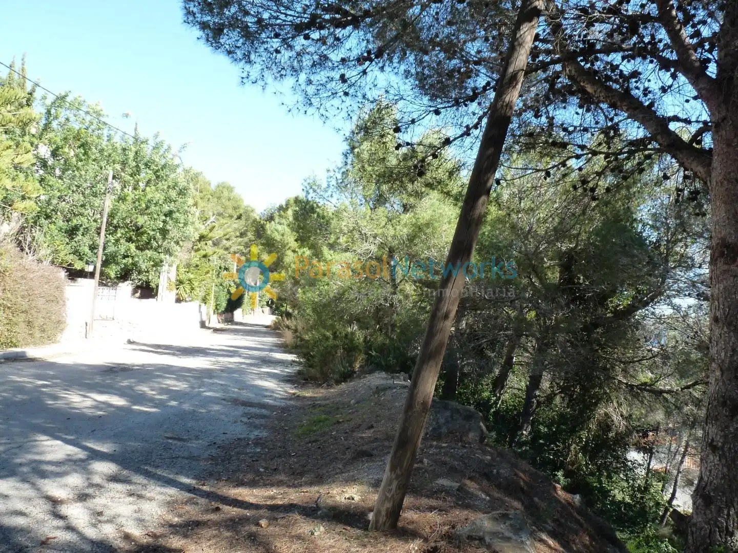 Terreno residencial en venta en Oliva pueblo
