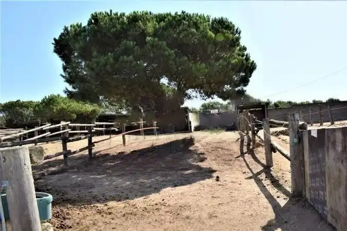 Terrenos y solares en venta en Mas Mora - Sant Daniel, imagen 45