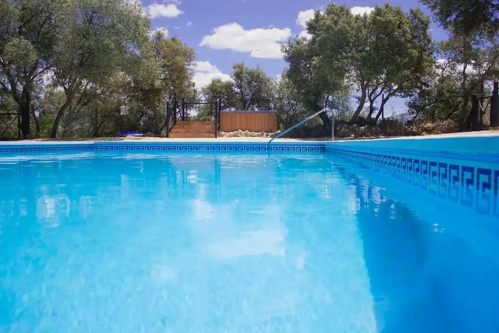 Swimming pool of Houses for sale in Archidona  with Private garden, Terrace and Storage room