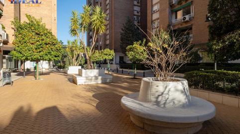 Foto 4 de Piso en venta en Calle Sos del Rey Catolico, 9, Cervantes, Granada