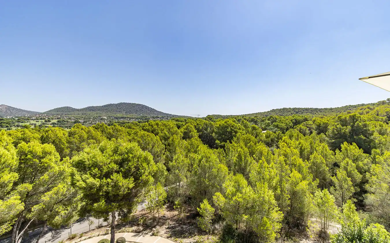 Attic for sale in Santa Ponça