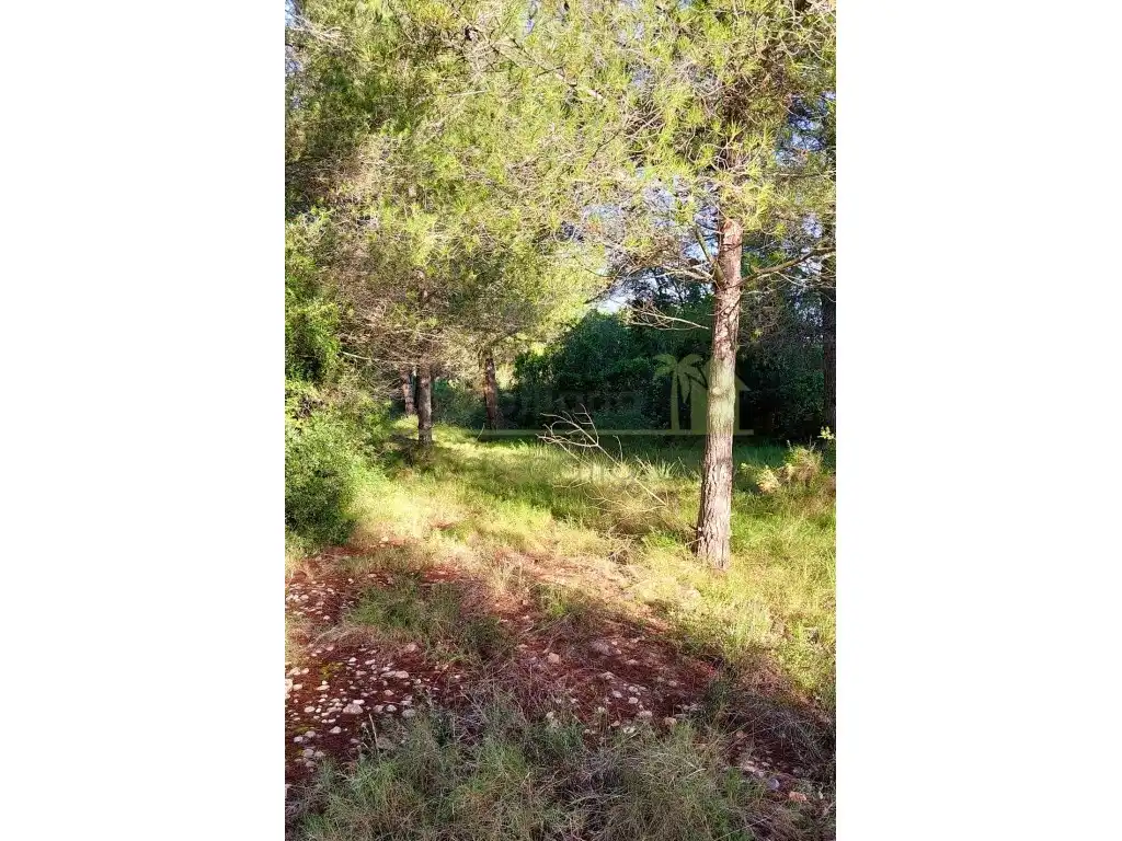 Grundstücke zum Verkauf in Vinaròs