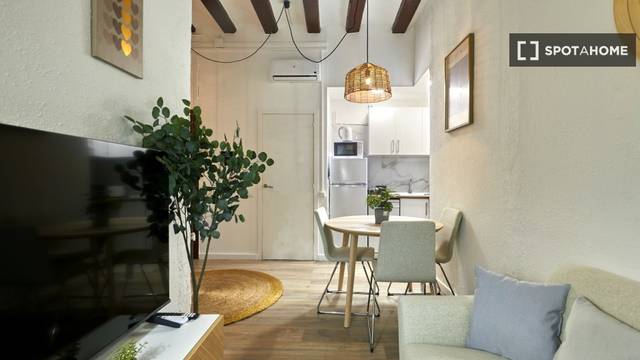 Piso en Alquiler en El Raval