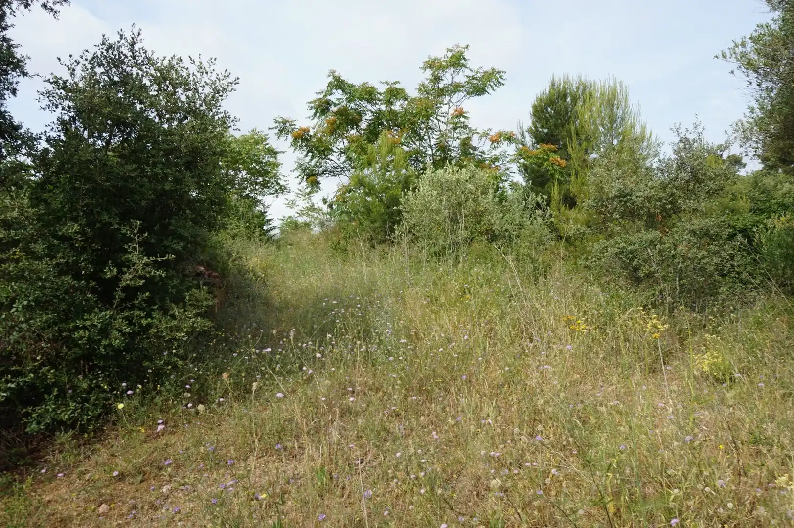 Maison rustique à vendre à Les Borges del Camp, imagen 15