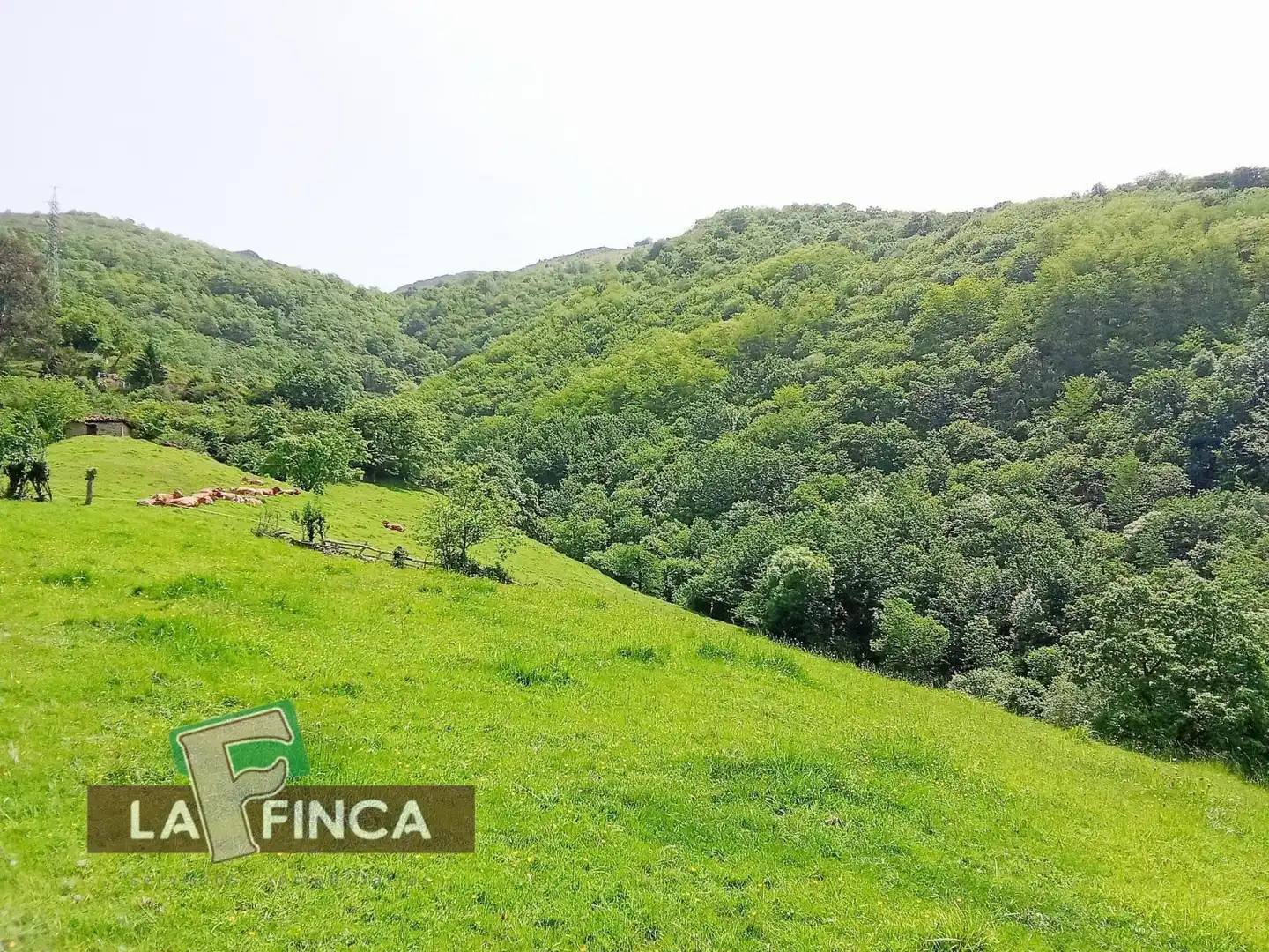 Residencial en venta en Lena