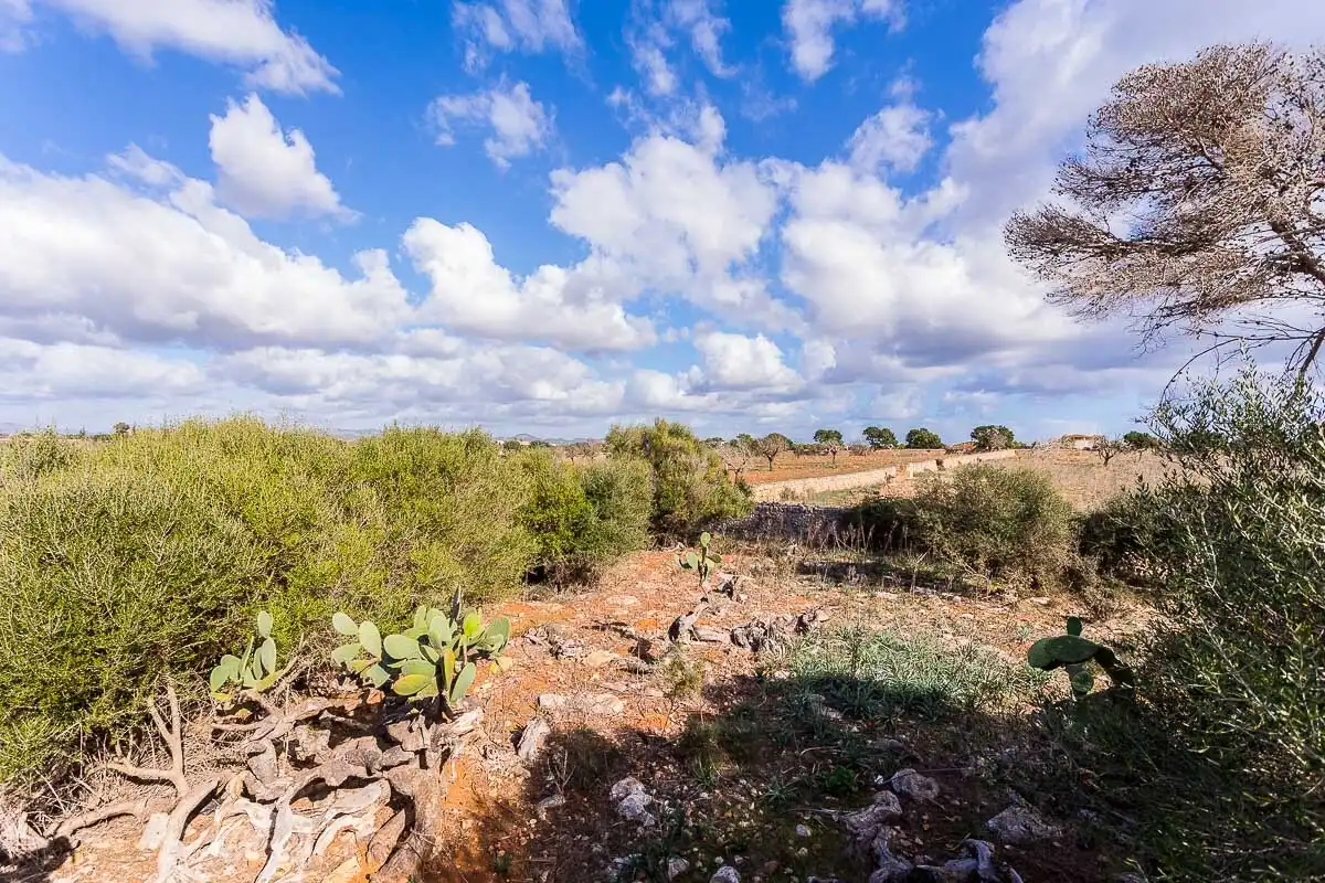 Finca rústica en venta en Cala Magrana - Cala Anguila - Cala Mendia