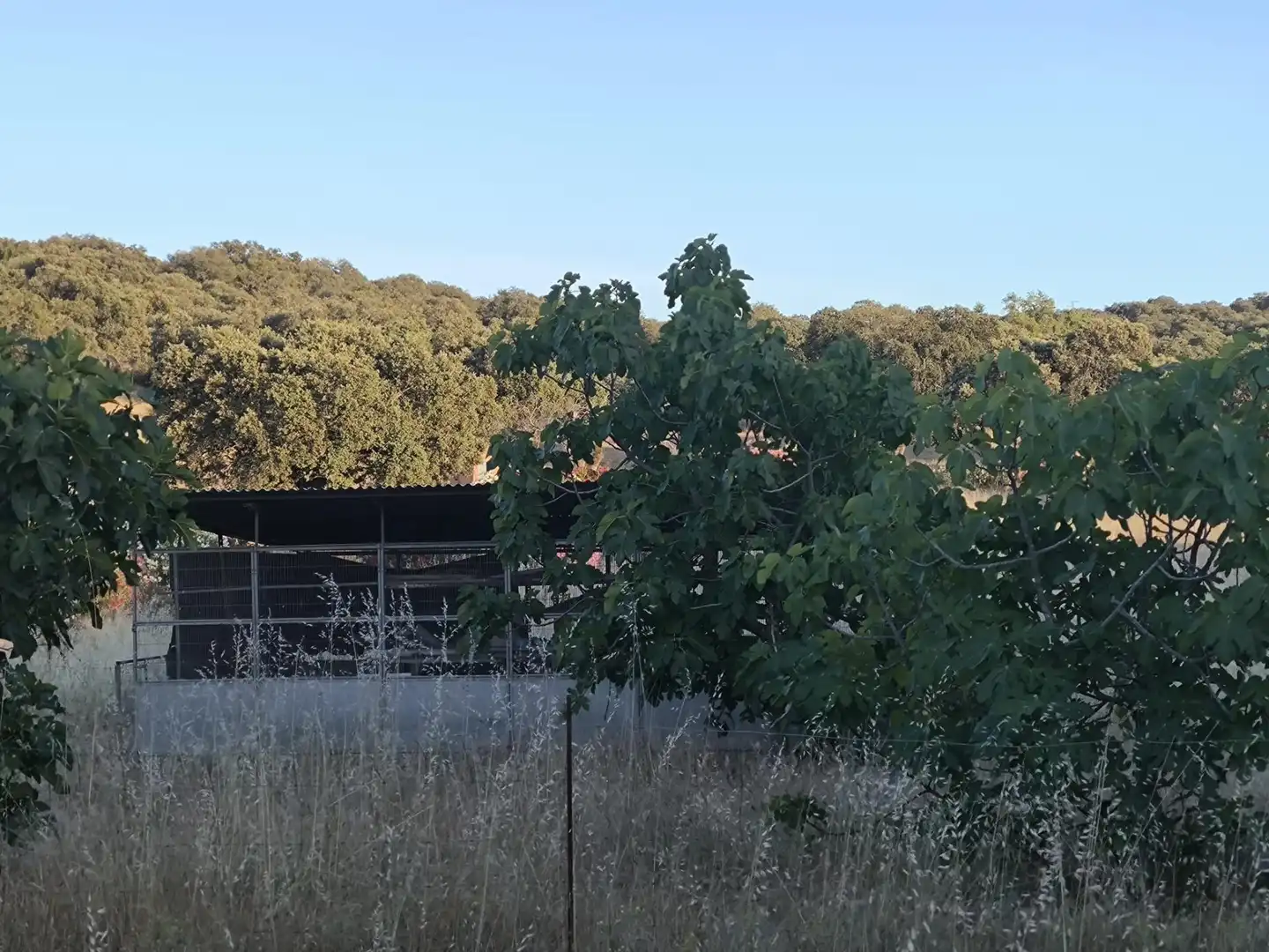 Rural land for sale in Fuente Obejuna, imagen 50