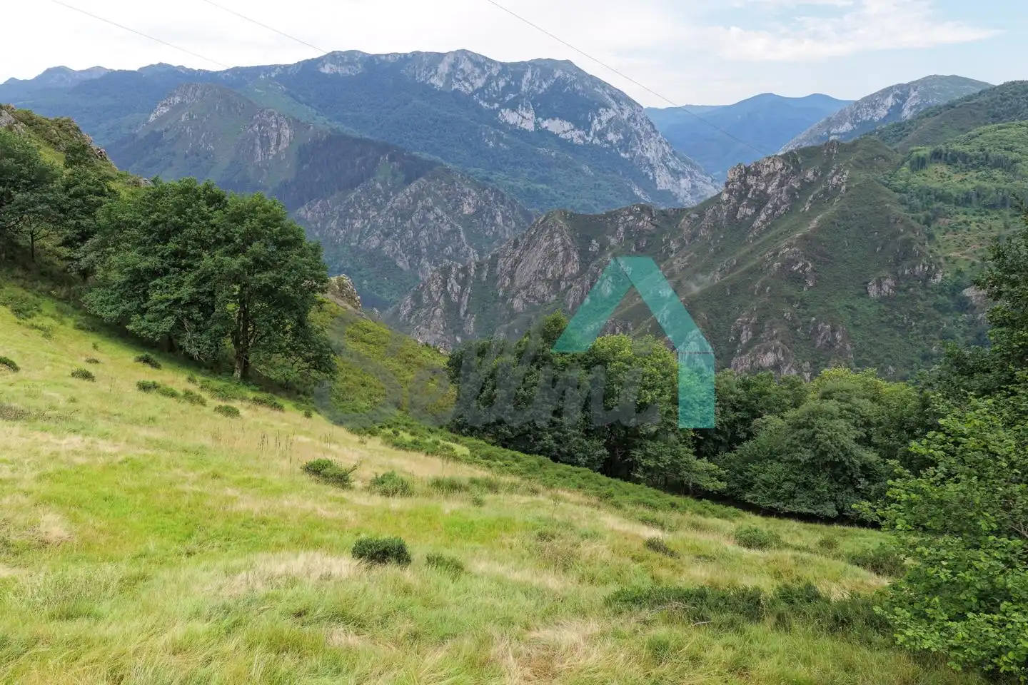 Land for sale in Proaza