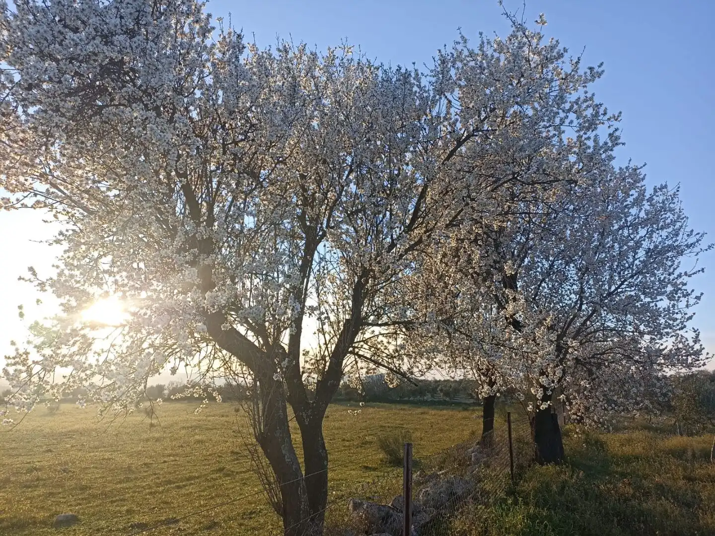 Vista exterior de Terreno en venta en Quintana de la Serena