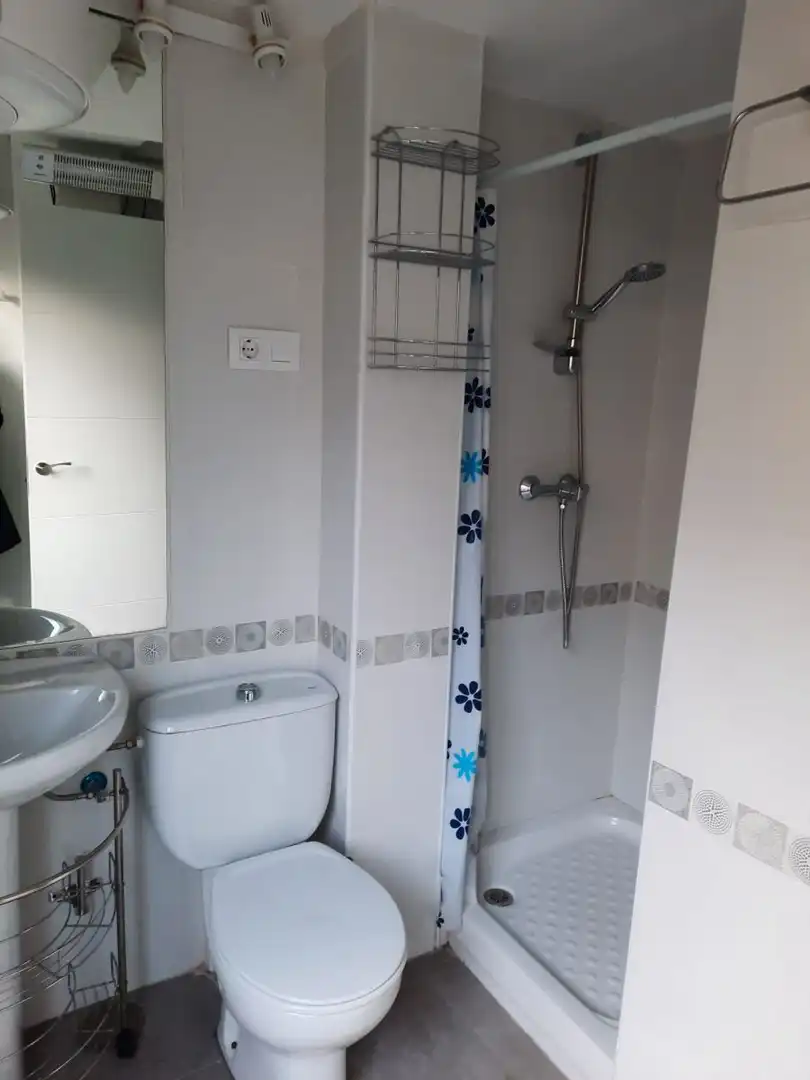 Bathroom of Apartments for rent in Villaviciosa de Odón  with Furnished