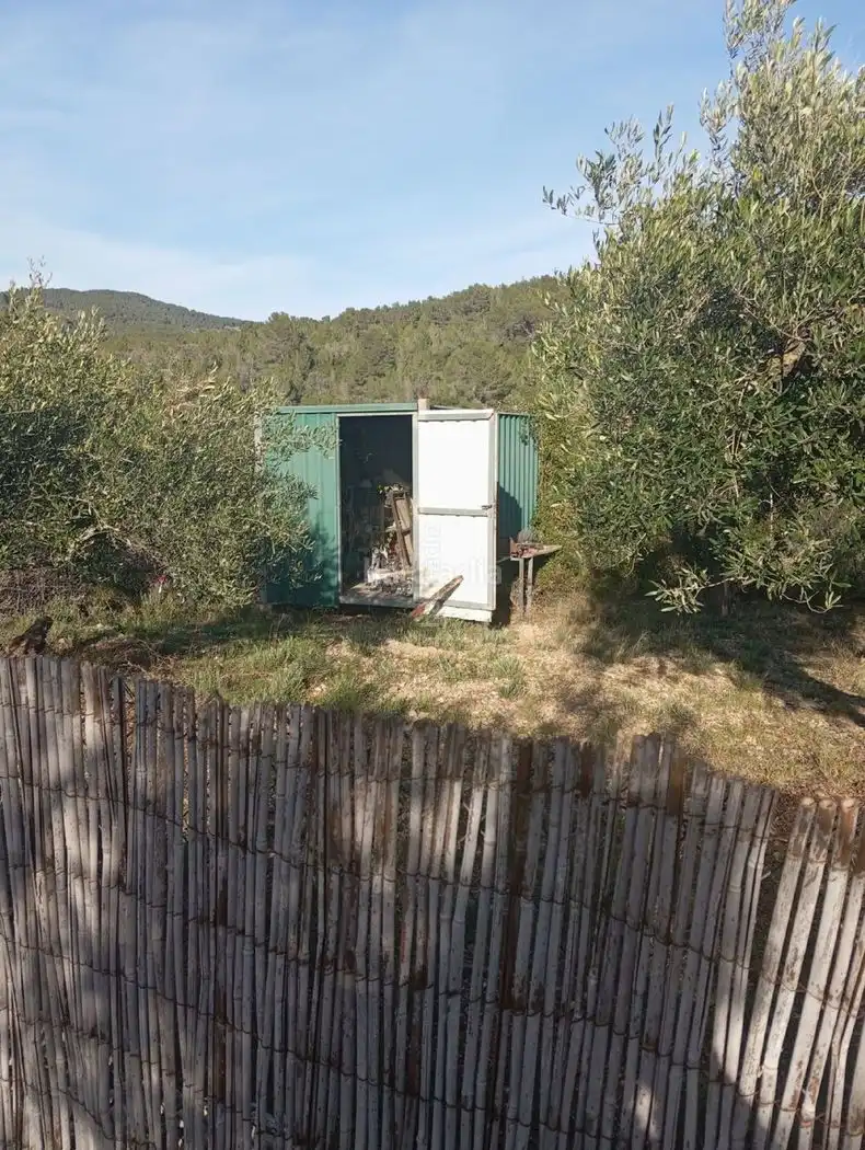 House with garden for sale in Carrer Francesc Gimeno 13, imagen 2
