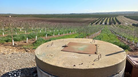 Photo 3 of Land for sale in Lora del Río, Sevilla