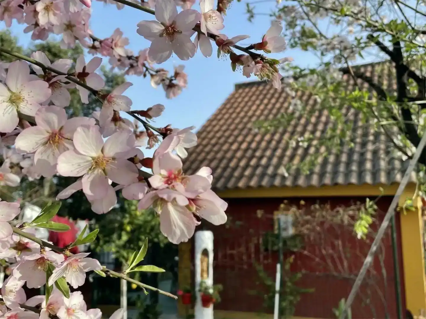 Jardí de Finca rústica en venda en Berrocal amb Jardí privat, Traster i Piscina