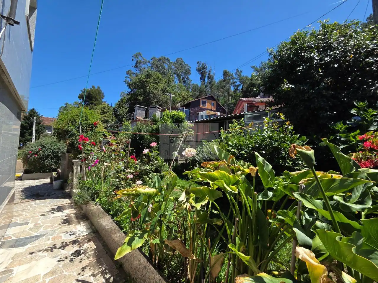 Jardín de Casa o chalet en venta en Vigo  con Calefacción y Jardín privado