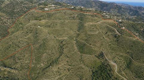 EN VENTA: terreno de 63 ha con vistas al mar cerca de Vélez-Málaga (6 €/m²), venta directa del propietario, imatge 3