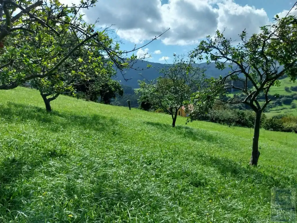 Grundstücke und Bauplätze zum Verkauf in Illas, imagen 4