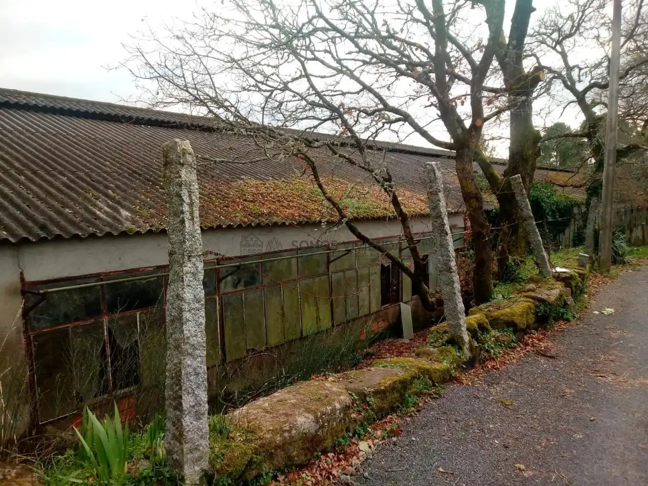 Terreni e lotti in vendita a San Cibrao das Viñas, imagen 14