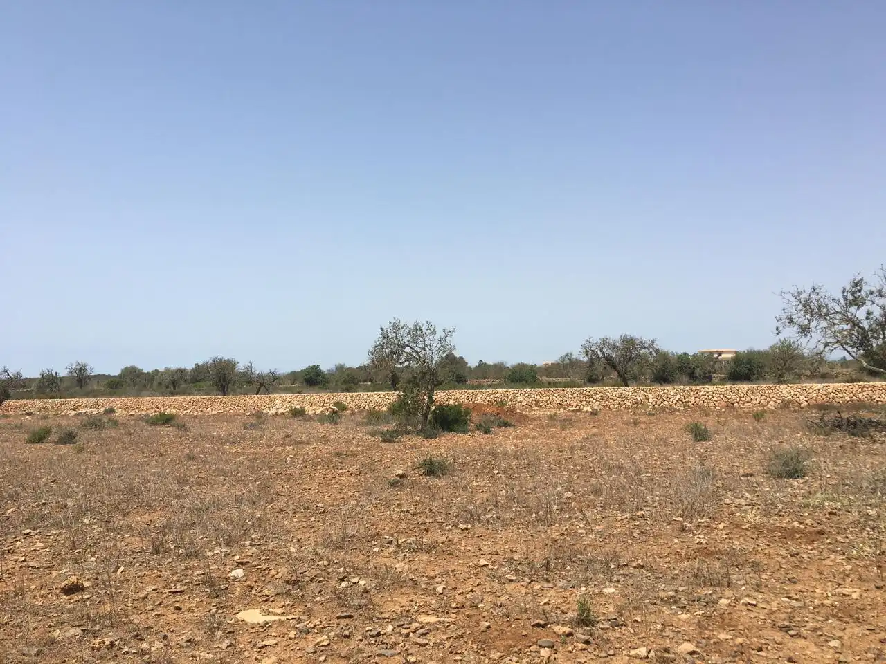 Casa amb piscina en venda a Camí des Pinaret Gran, imagen 8