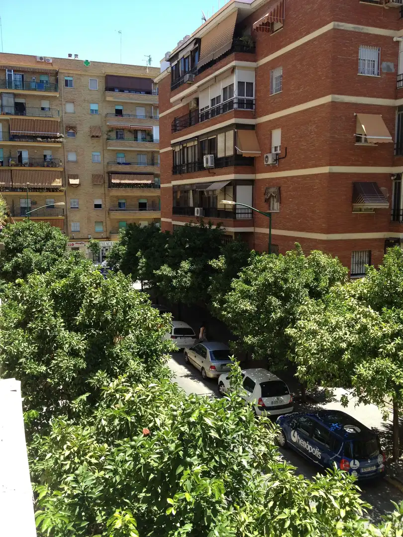 Vista exterior de Piso de alquiler en Sevilla con Aire acondicionado, Amueblado y Lavadora