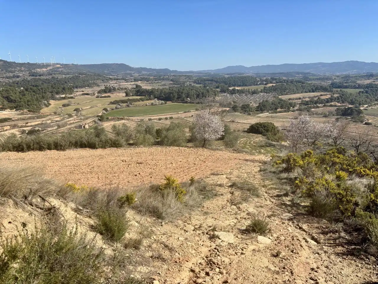 Terreno en venta en Solivella