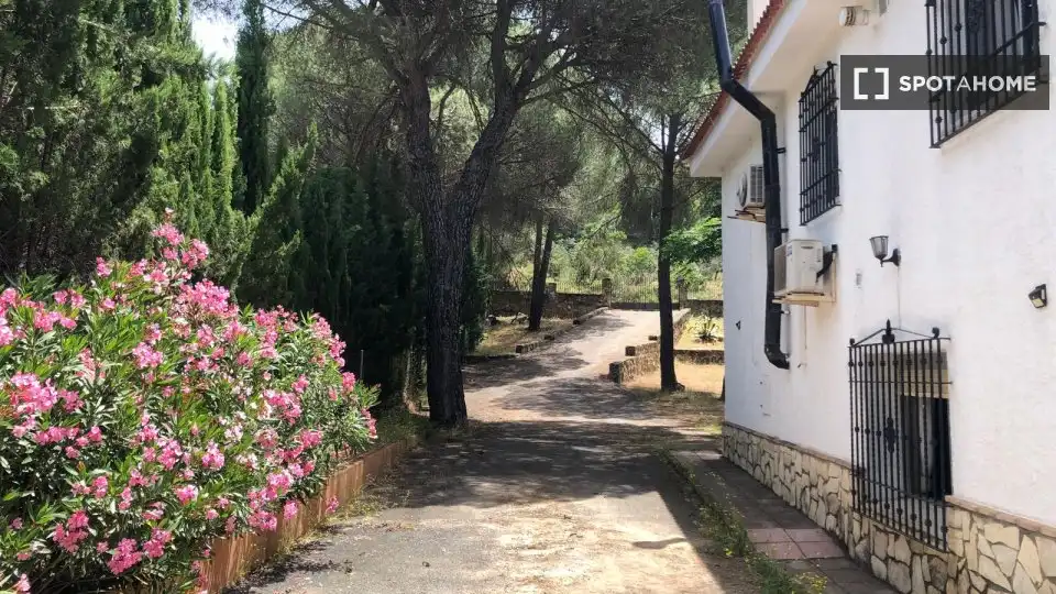 Habitació a Las Jaras