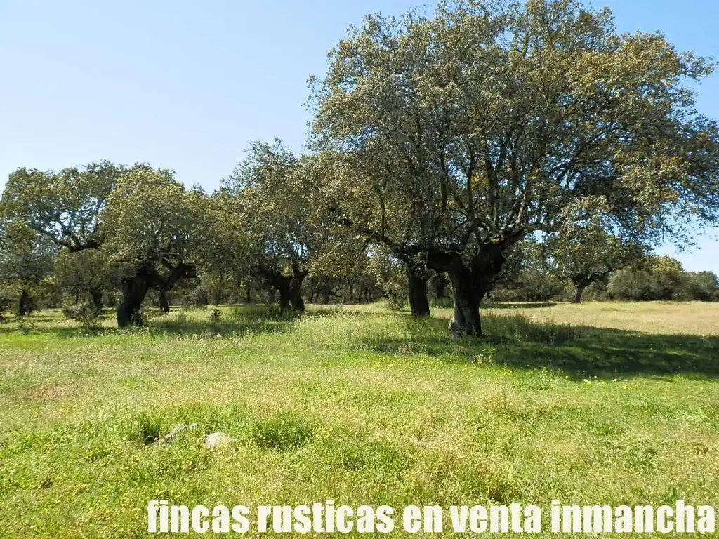 Terreno rustico in vendita a Ciudad Rodrigo, imagen 18