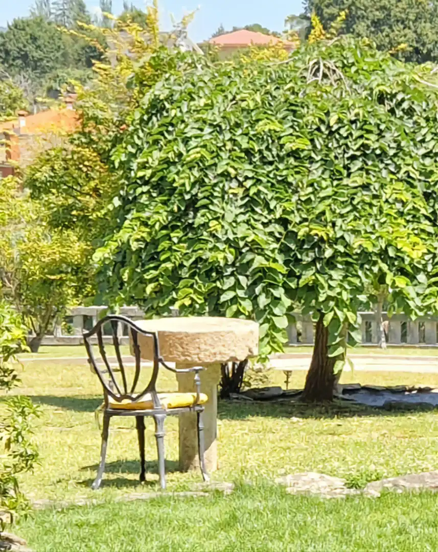 Jardí de Casa o xalet en venda en Gondomar amb Calefacció, Parquet i Terrassa