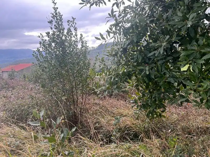 Terreno rustico in vendita a Selorio - Tornón, imagen 9