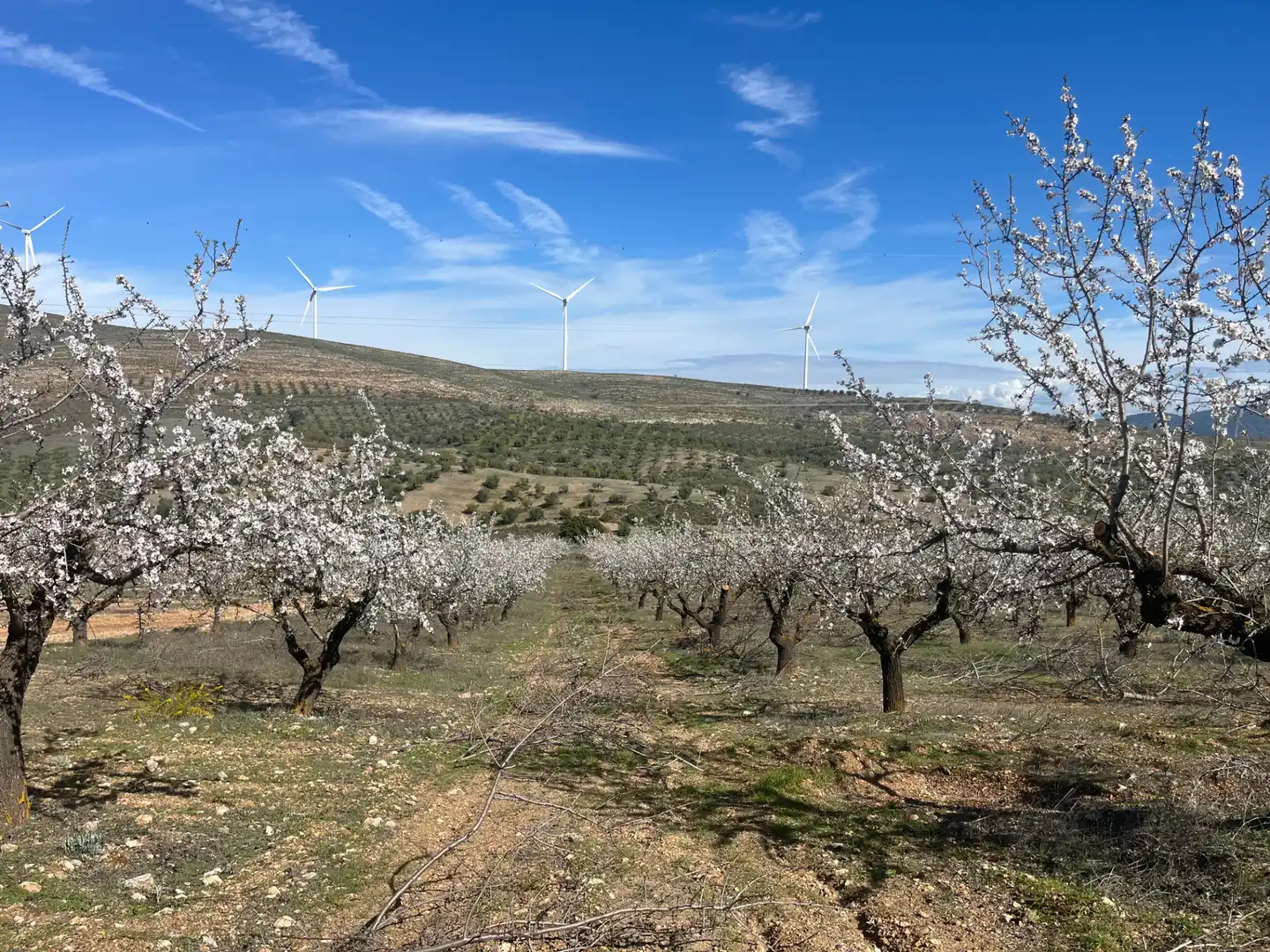 Rustikales Grundstück zum Verkauf in Camino de la Sierra, imagen 4