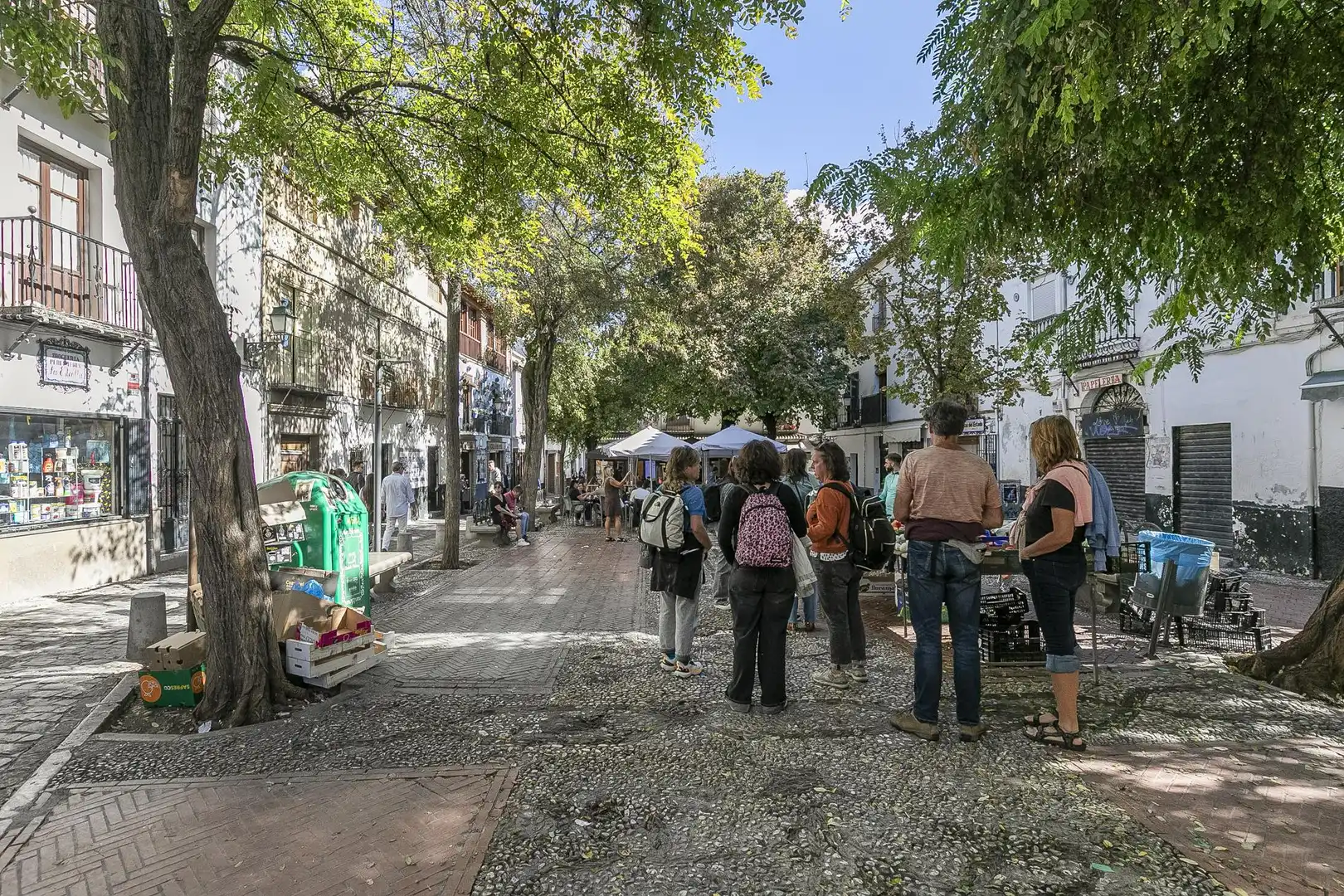 Inmuebles singulares en venta en Plaza Larga 2, imagen 8